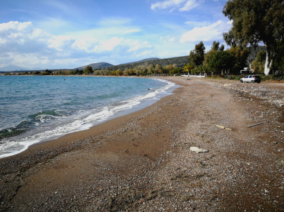 gallery/img_20180227_150231