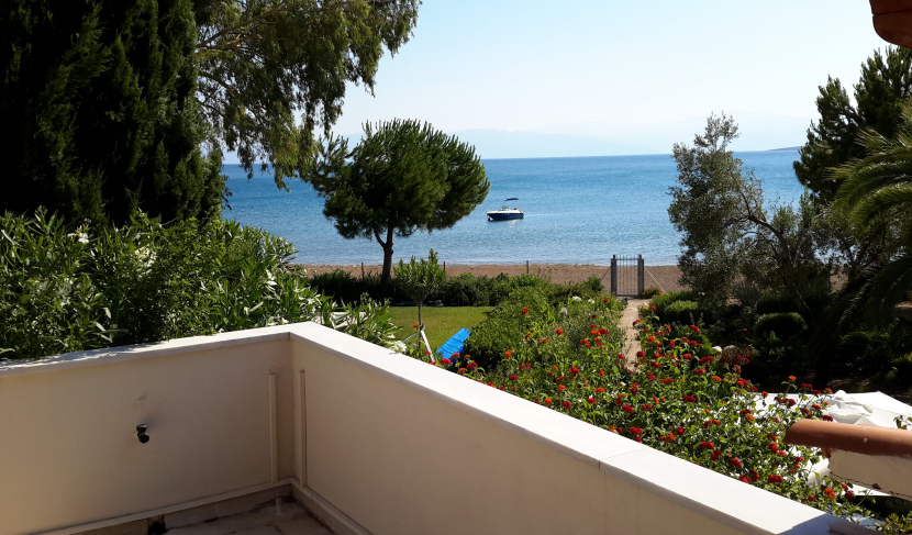 gallery/20150722_171801